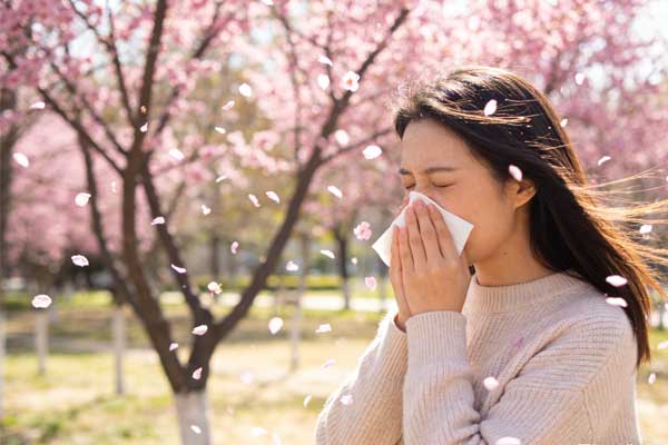 春季花粉过敏,花粉过敏预防,花粉季 春季花粉过敏,花粉过敏预防,花粉季